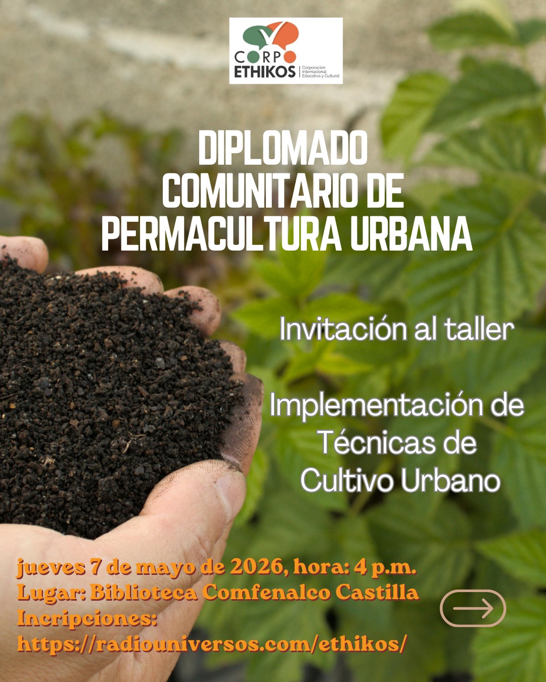 Diplomado de Permacultura Castilla