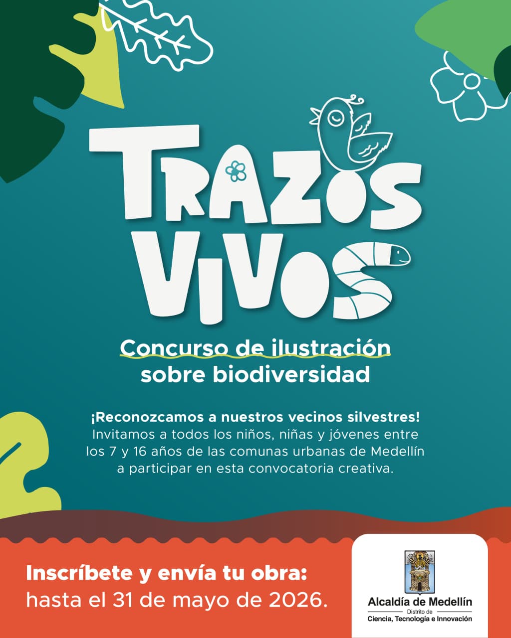 Concurso Trazos Vivos Medellín